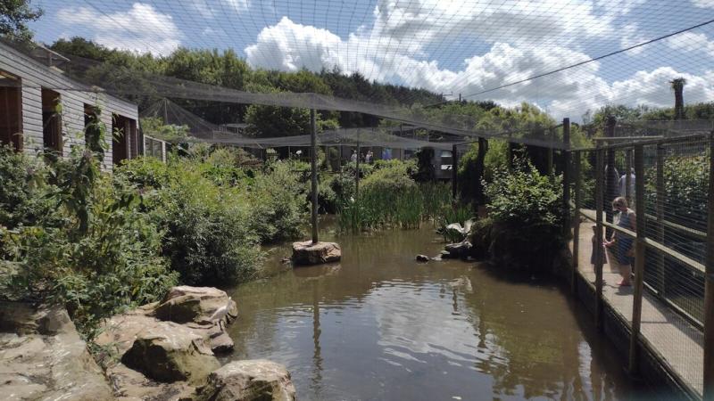 North Devon zoo sees strong Easter footfall - but visitors are spending less once through the gate