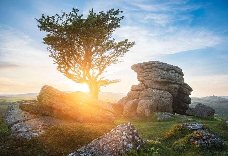 Best New Year walks to try across Dartmoor&rsquo;s rugged landscape