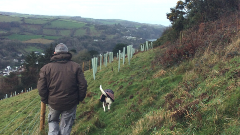 Natural Capital Marketplace launches with a large carbon offset order from Devon County Council