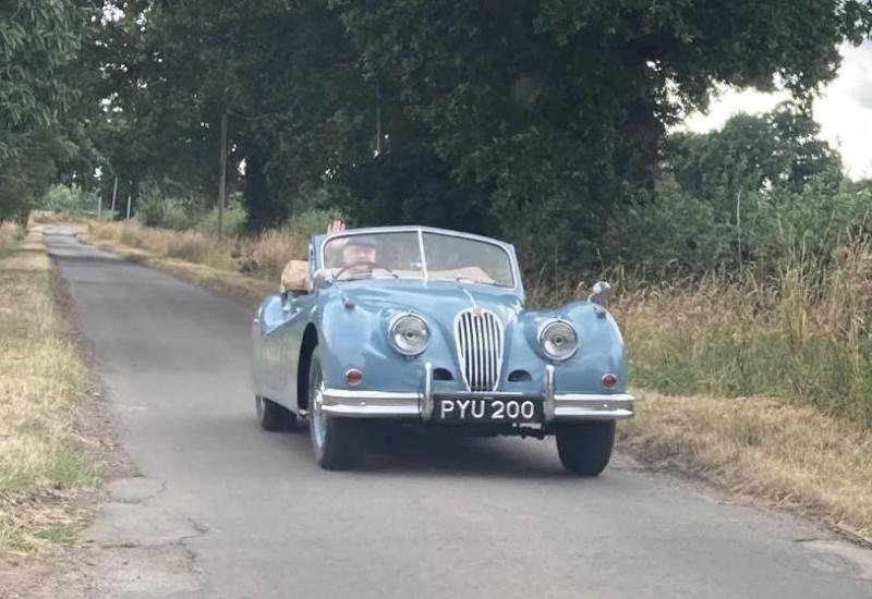 PAUL JOLLY: Jaguar goes for &pound;85,000 in Big Cat Country