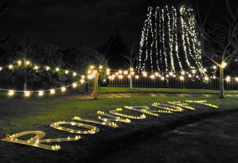 Dedicate a light in memory of a loved one this Christmas