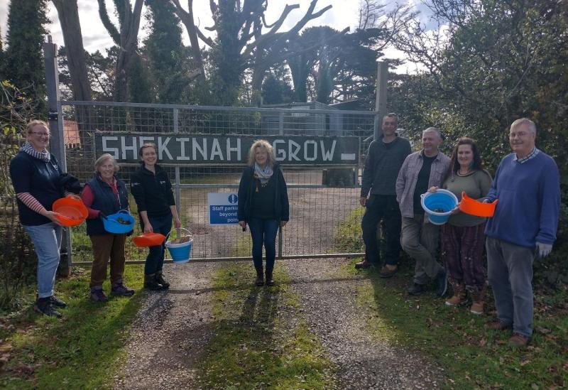 Sowing seeds for Paignton project to grow trees