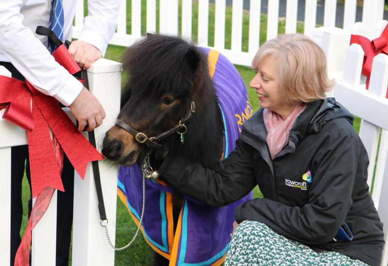 Patrick the Pony has new pen for visits to Rowcroft Hospice patients