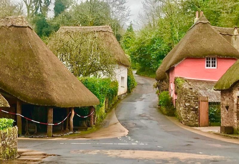 Pictures: Focus on pretty Cockington Village Torquay