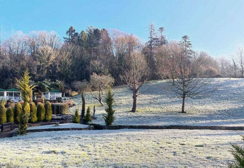 Stephen Coombes picture special: Frosty morning at Cockington