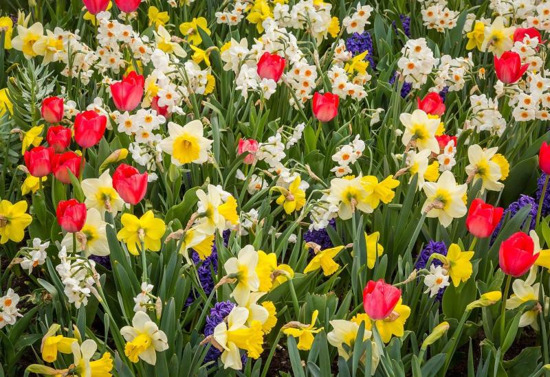 Gardening with Pat Duke Learn that classic gardening skill called