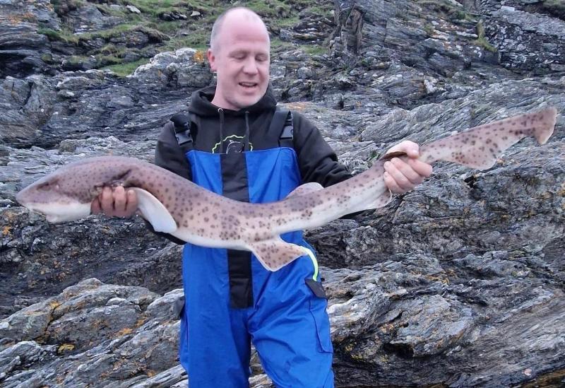 Angling: Plenty of bull huss for shore fishers