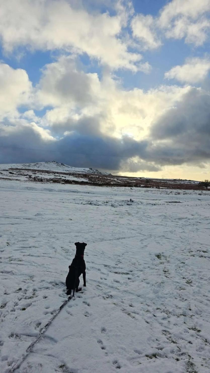 Furry friend making the most (Image- Ellen E Reveley)