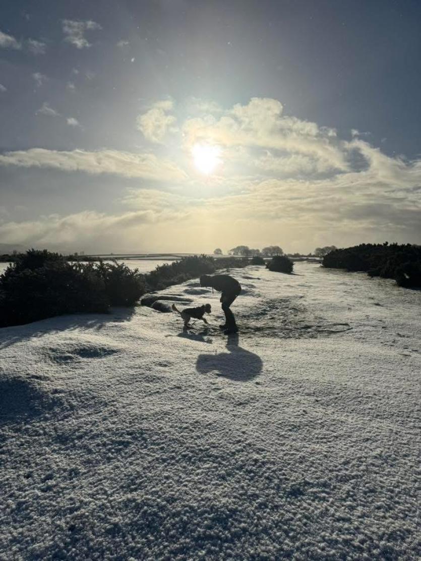 Plaster Down on Sunday (Image- Louise Emma)