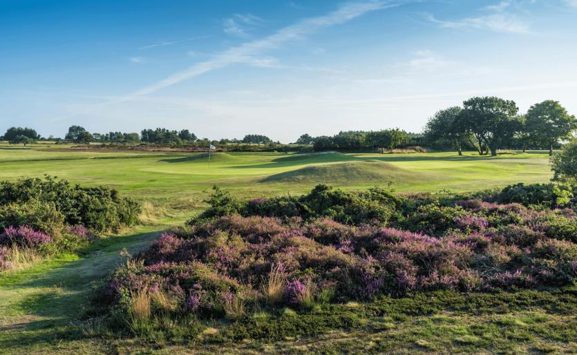 Teignmouth GC
