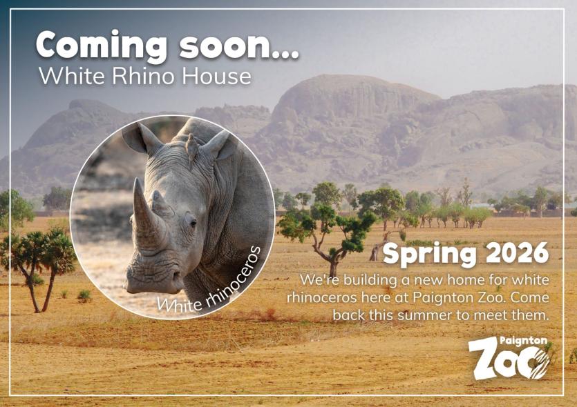The new Rhino House concept
