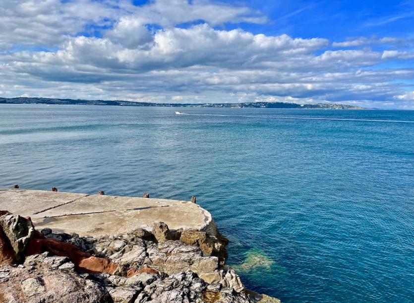 viw across torbay
