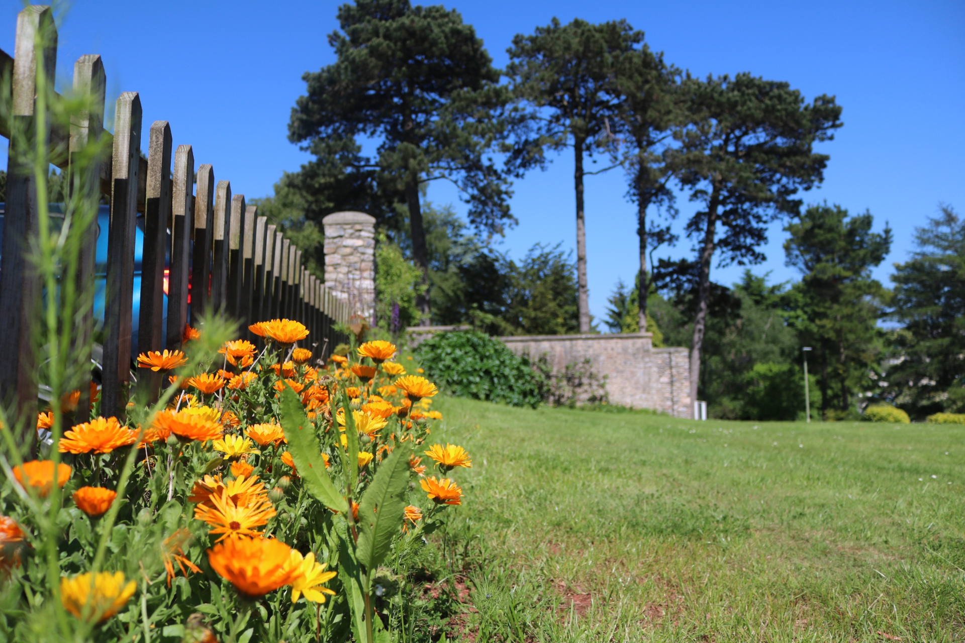 Ella's Gardens at Rowcroft Hospice