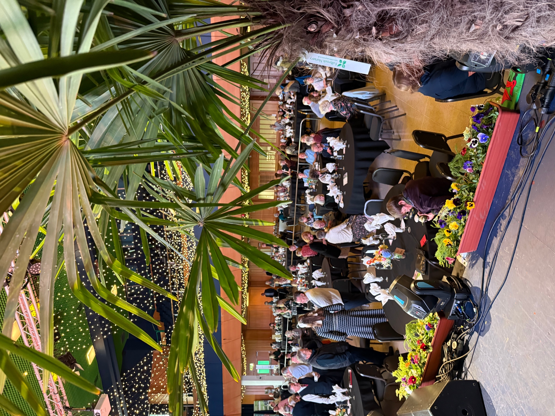 Palm tree setting for the South West In Bloom awards