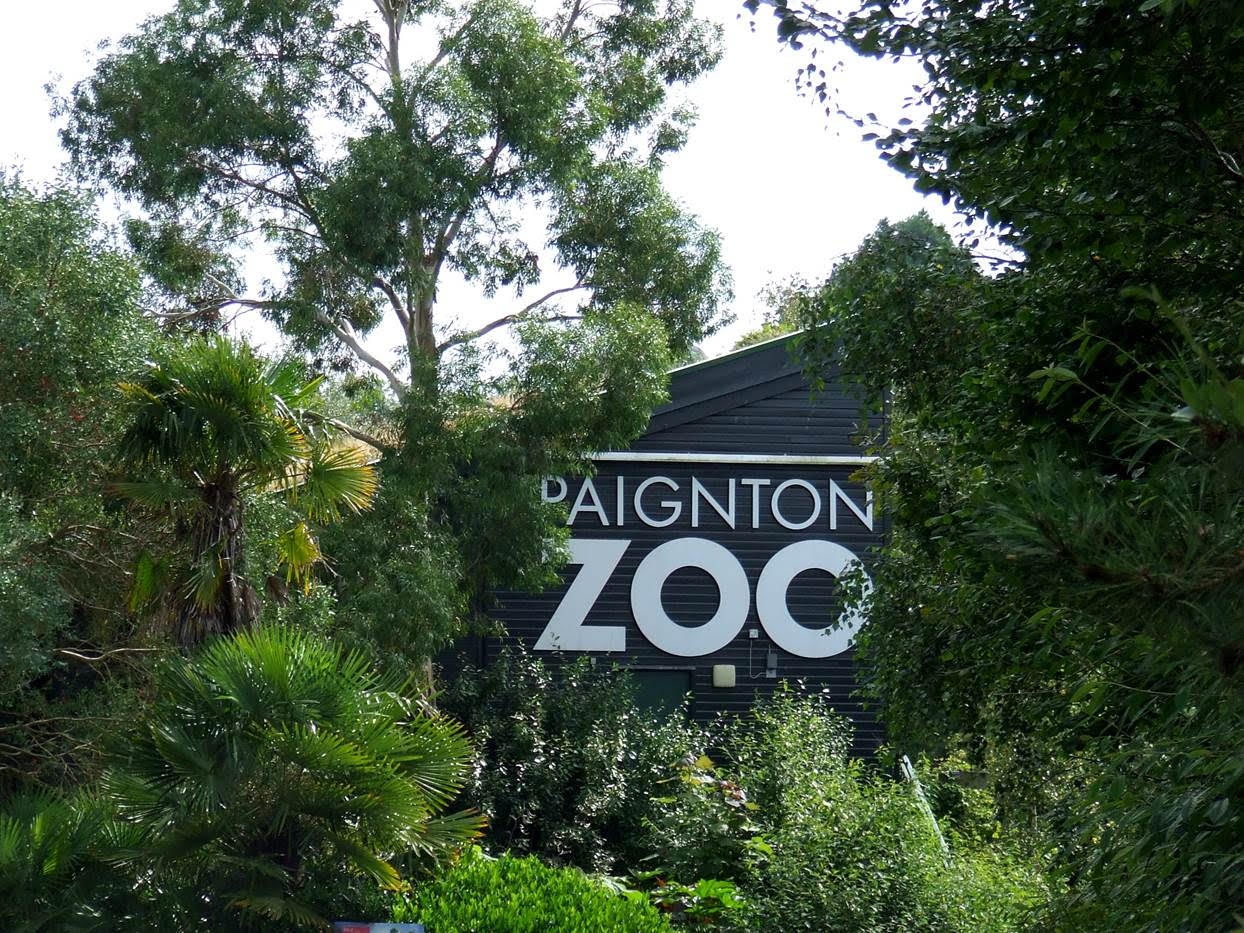 Paignton Zoo