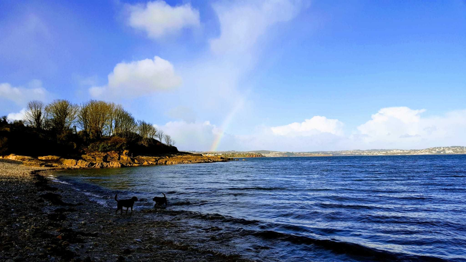 Elberry Cove Pic Guy Henderson