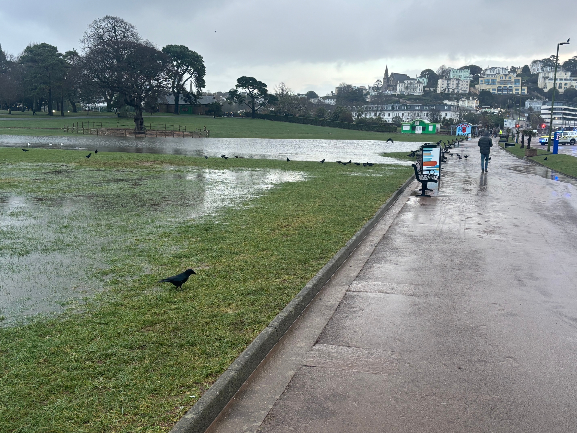 Torre Abbey Meadows turned into a lake