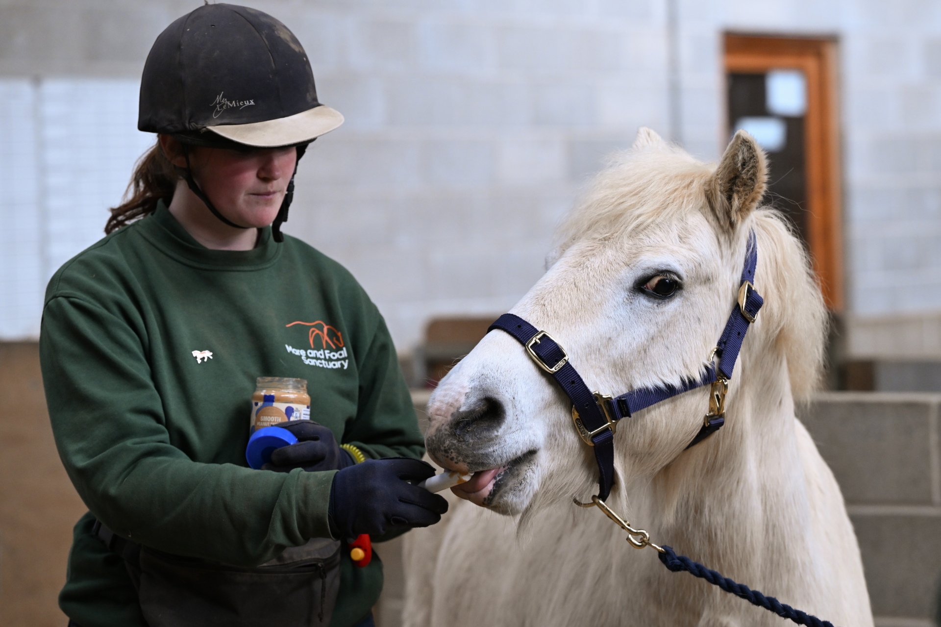 Alan loves peanut butter