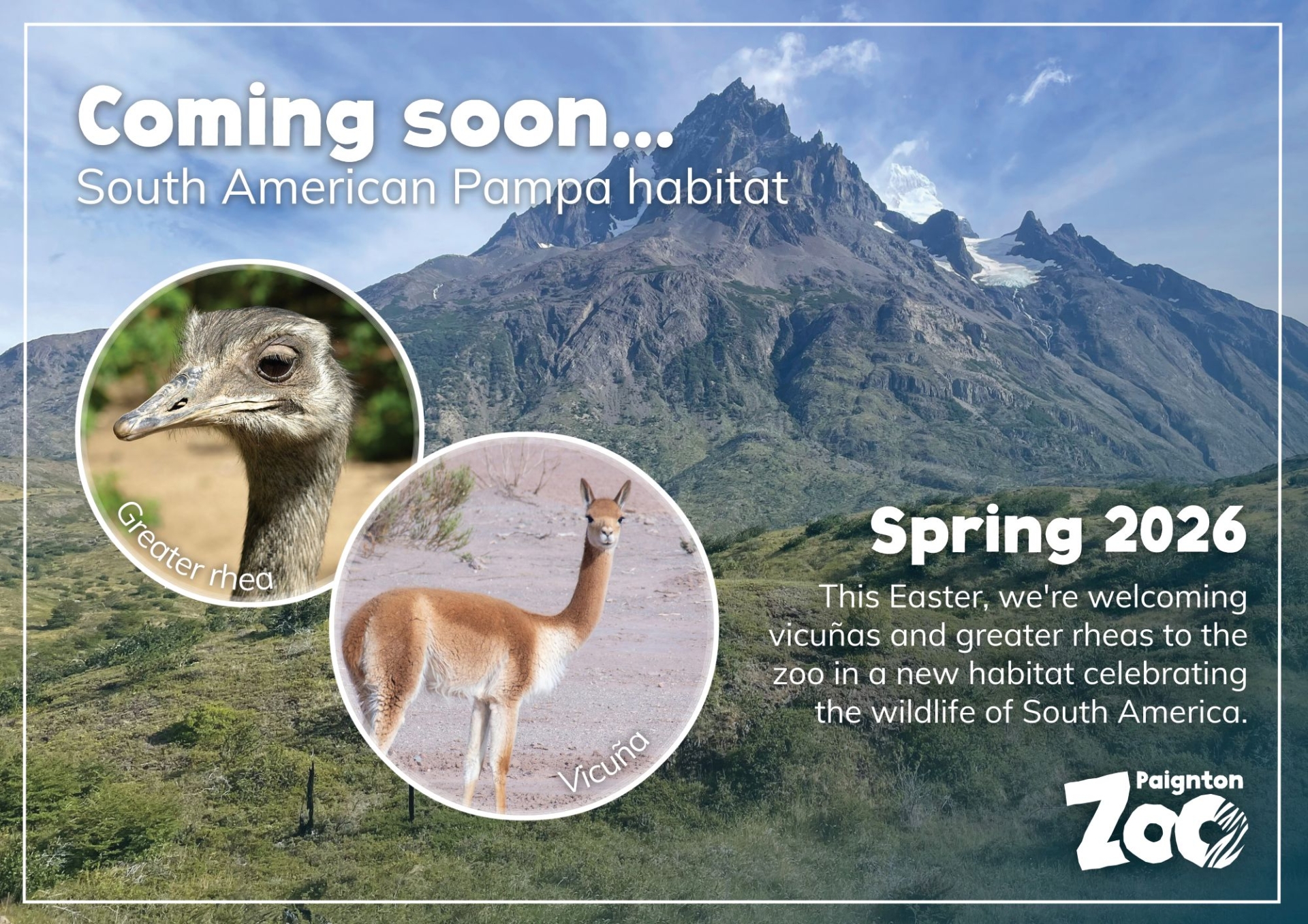 Paignton Zoo South-American Pampa plans