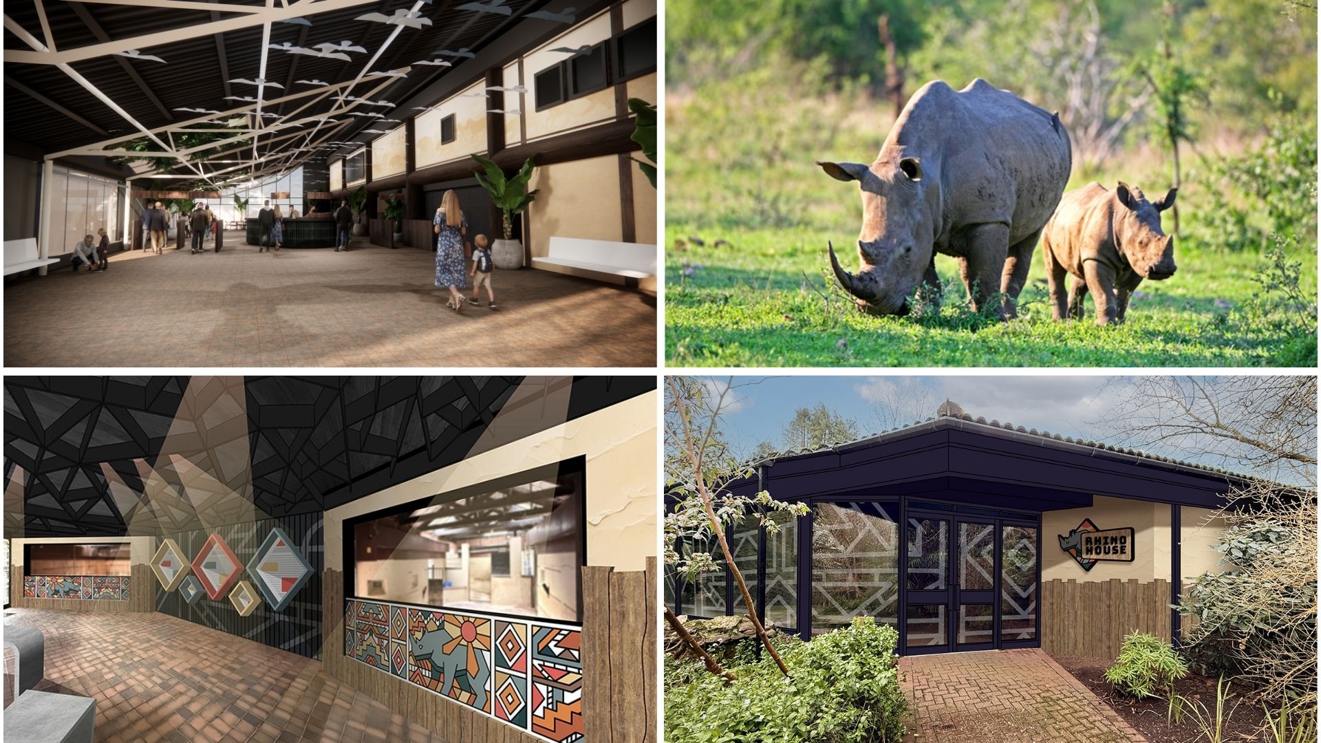 Paignton Zoo White Rhino Concept