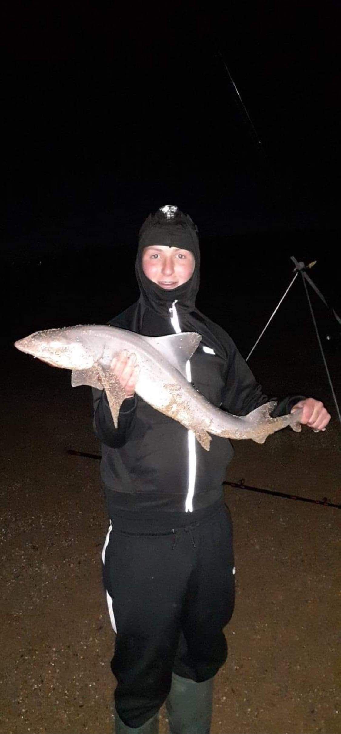 Freddie Luscombe - Smoothhound