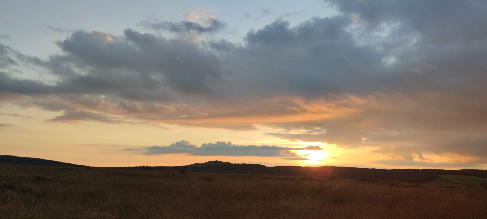 Sunset from Riddon Ridge overlooking the forest. Credit: David Phillips
