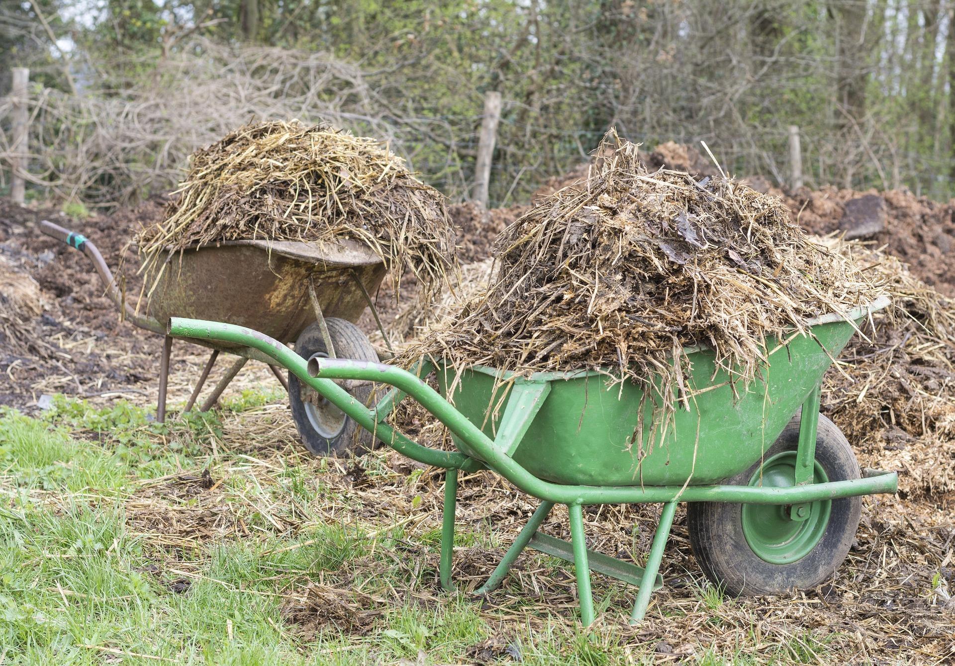 My least favourite job must be carting wet manure across the garden. Credit: Pixabay