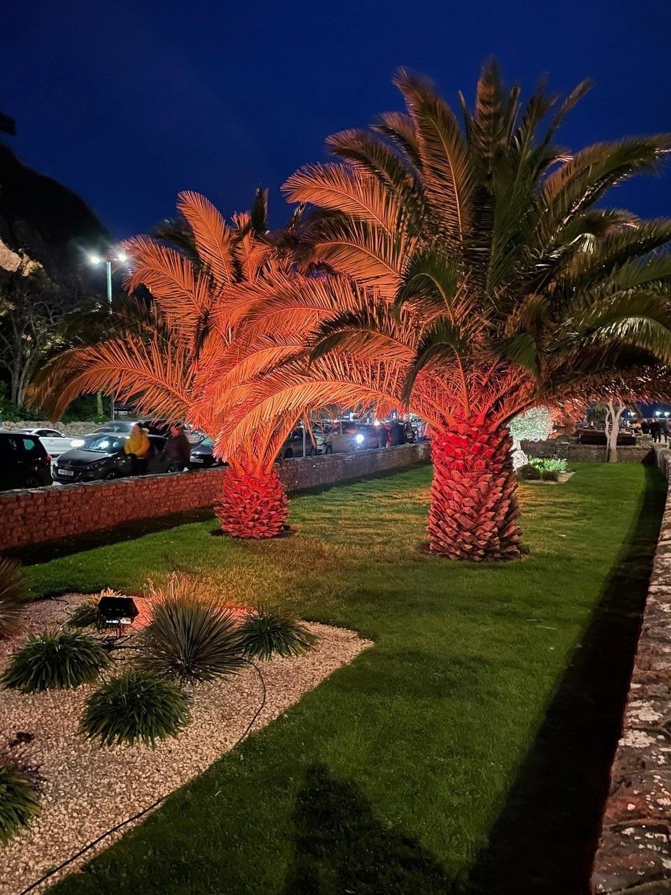 Picture special Torquay's Bay of Lights Torbay Today