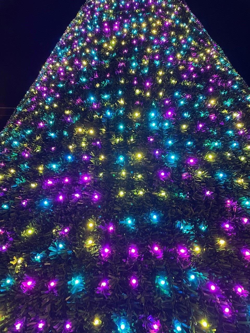 Picture special Torquay's Bay of Lights Torbay Today