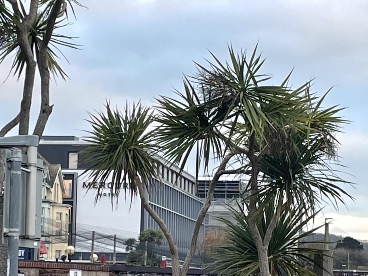 The Mercure Hotel