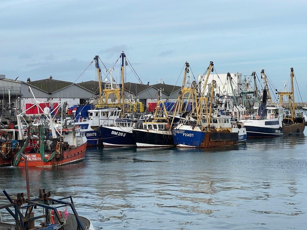 Brixham's fishing fleet in the harbour ahead of a forecast weekend of bad weather. Credit: Stephen Coombes
