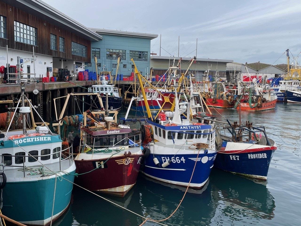 Brixham's fishing fleet in the harbour ahead of a forecast weekend of bad weather. Credit: Stephen Coombes