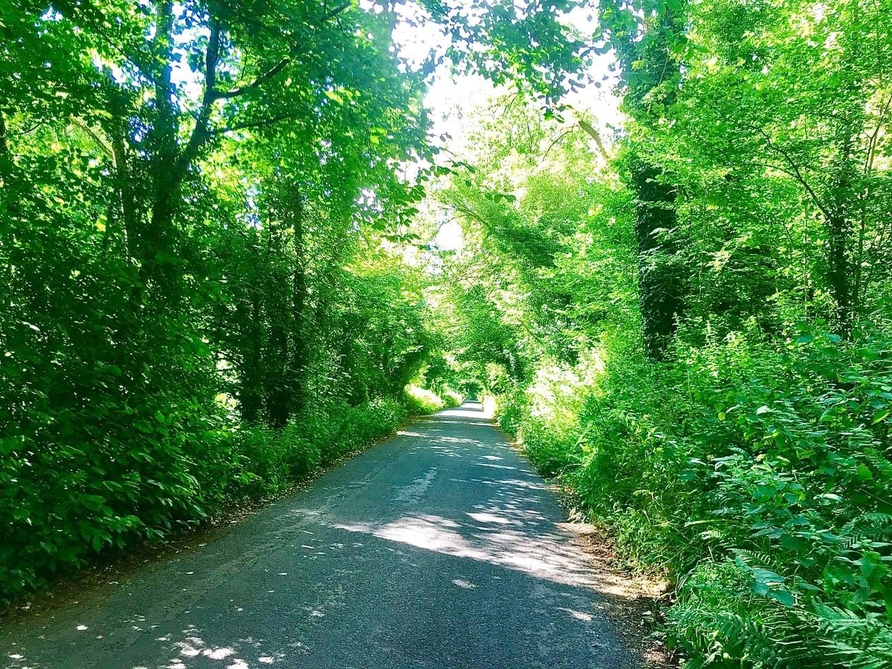 Country lane walks. Credit: Stephen Coombes