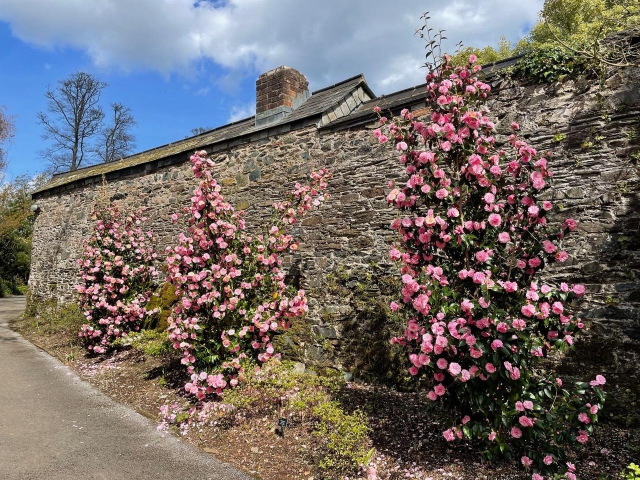 Stephen Coombes picture special The delights of Agatha Christie's