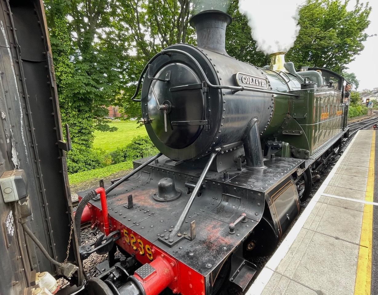 Goliath. Credit: Stephen Coombes