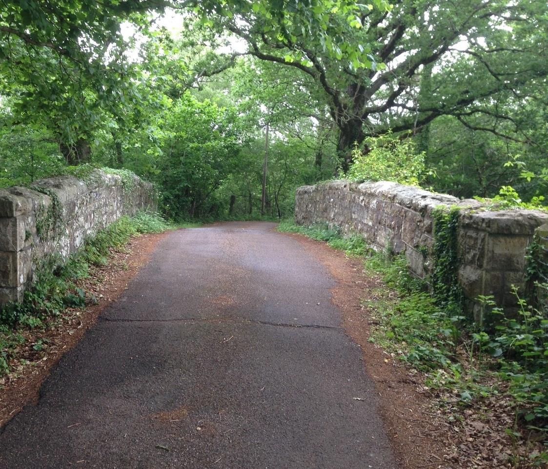 Rural cycling route. Credit: Stephen Coombes
