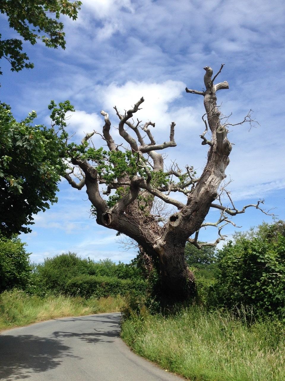 On the way to Moretonhampstead. Credit: Stephen Coombes
