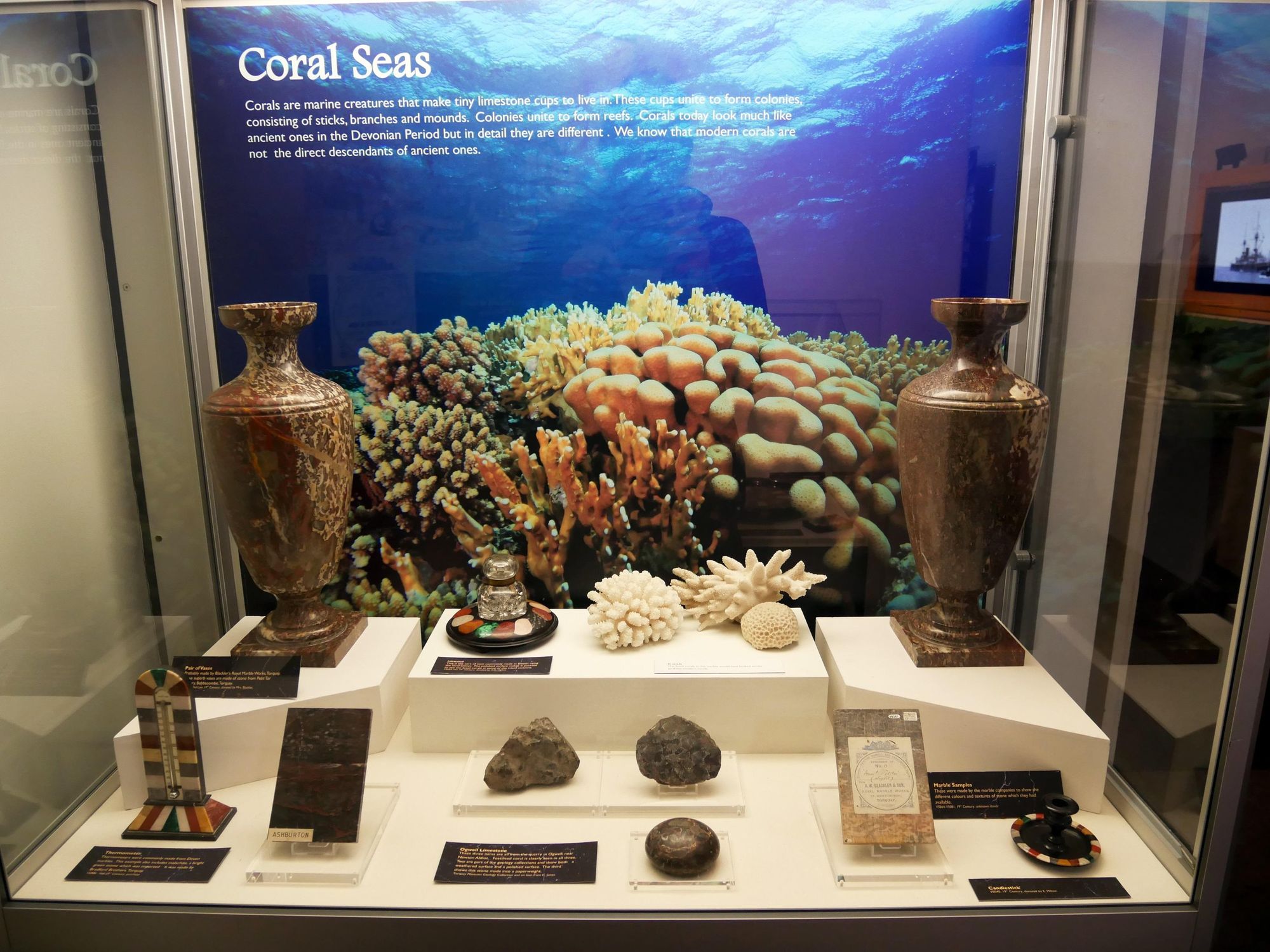 Coral seas display in the Marvellous Marble Gallery