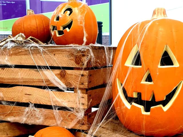 Head down to a pumpkin patch this October